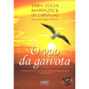 O voo da gaivota - Vera Lúcia Marinzeck de Carvalho, Patrícia