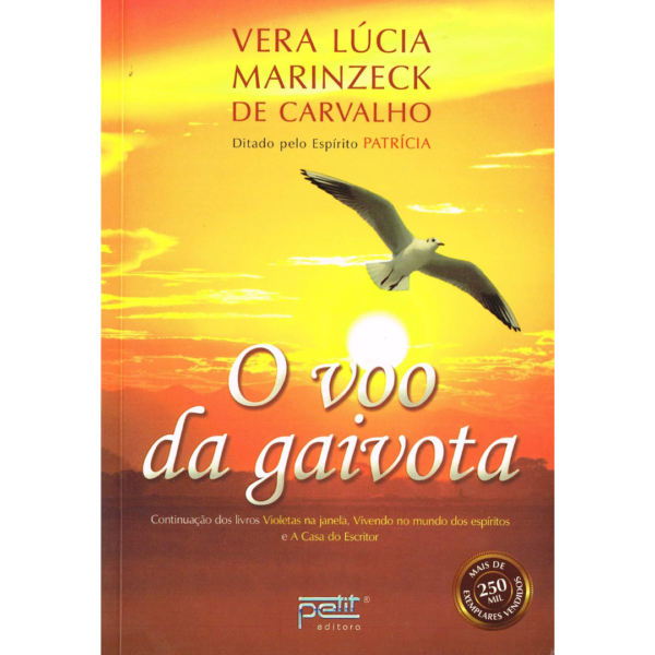 O voo da gaivota - Vera Lúcia Marinzeck de Carvalho, Patrícia
