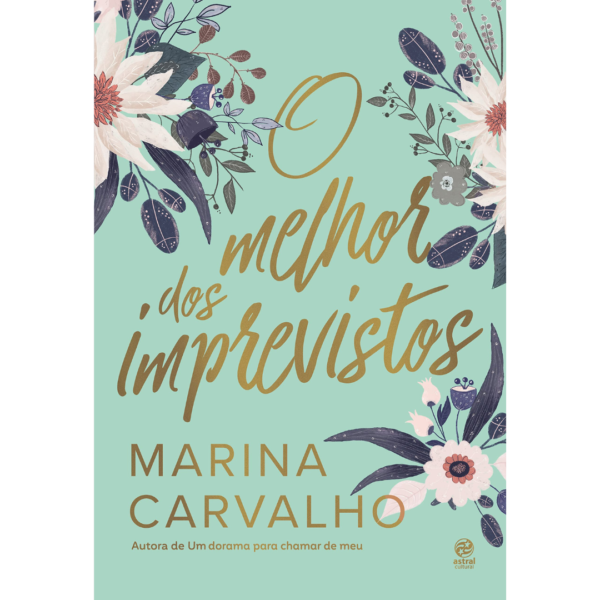 O melhor dos imprevistos - Marina Carvalho