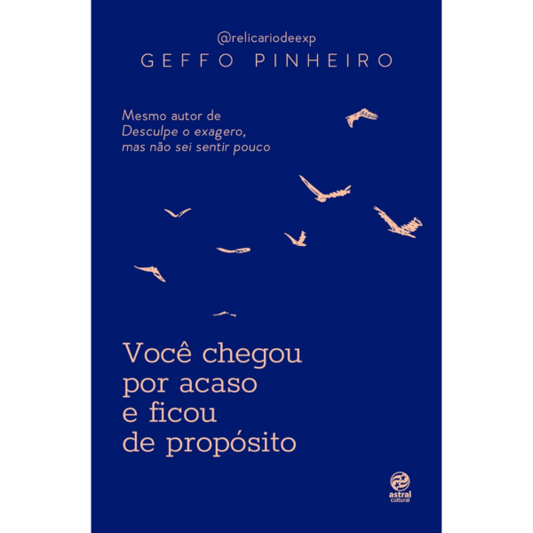 Você chegou por acaso e ficou de propósito - Geffo Pinheiro