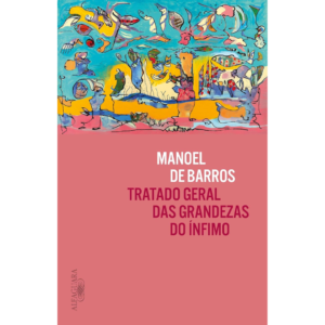 Tratado geral das grandezas do ínfimo - Manoel de Barros