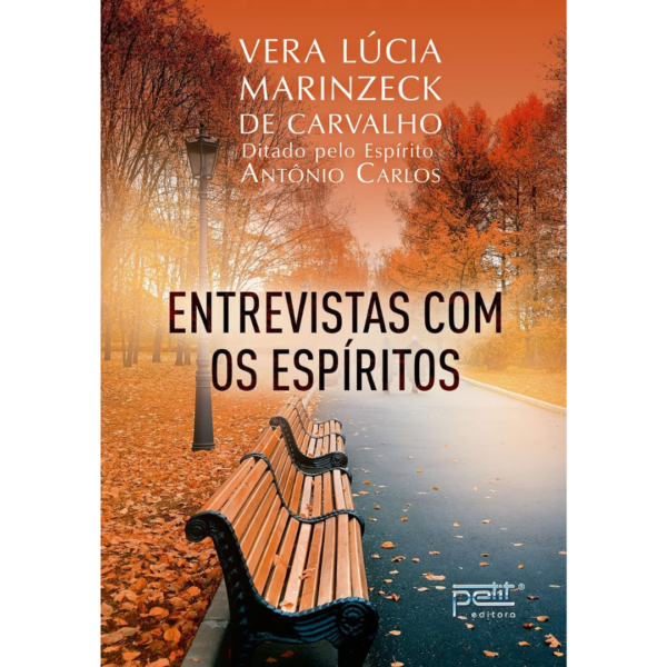 Entrevistas com os espíritos - Vera Lúcia Marinzeck de Carvalho