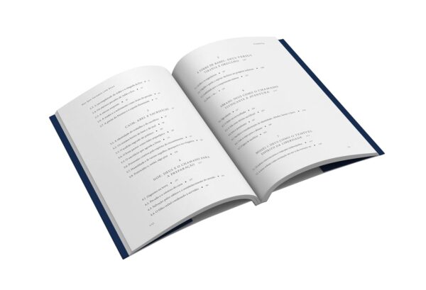 Nós que Lutamos com Deus: Percepções do Divino - Capa comum - Imagem 5