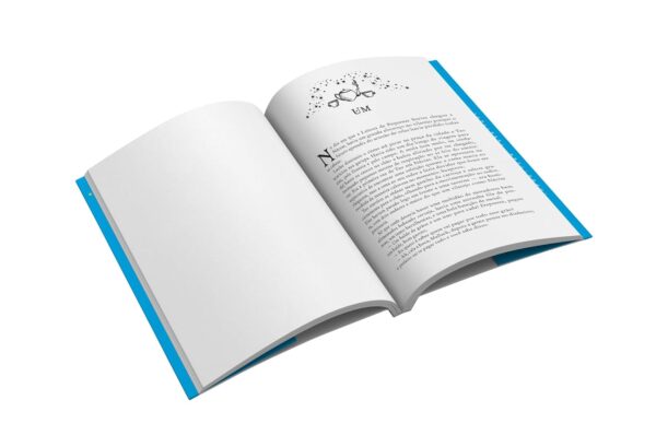A Leitora de Pequenas Sortes - Capa comum - Imagem 4