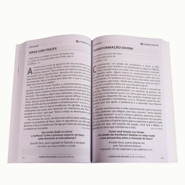Pão Diário vol 29 - Família: Um Devocional Para Cada dia do ano (Volume 1) - Capa comum - Imagem 2