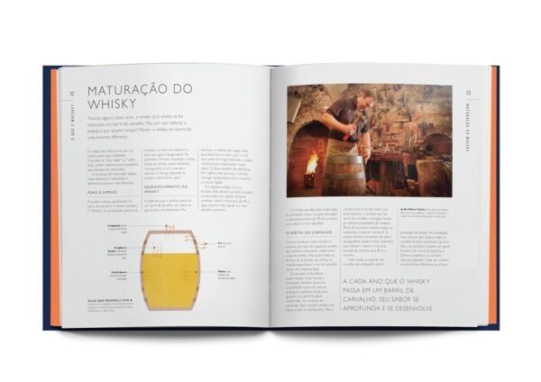 Sabores do whisky: Um novo jeito de pensar ― e beber ― whisky - Capa dura - Imagem 4