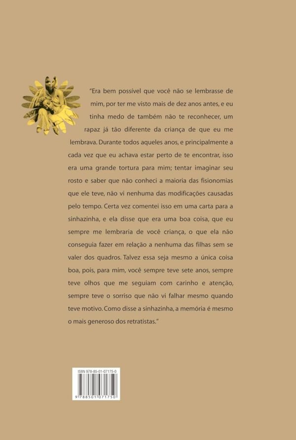 Um defeito de cor - Capa comum - Imagem 3