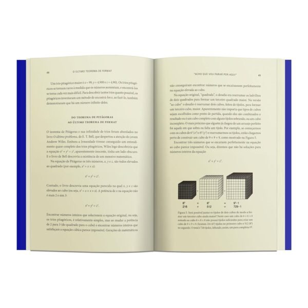 O Último Teorema de Fermat - Capa comum - Imagem 2