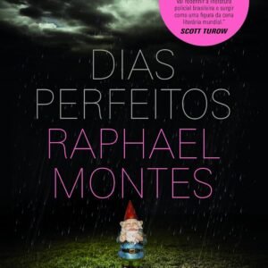 Dias perfeitos - Capa Comum