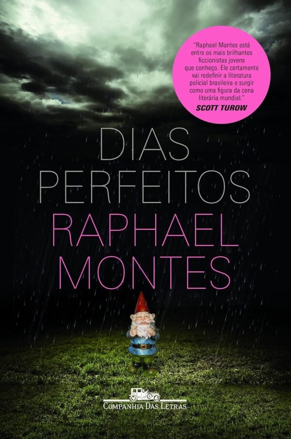 Dias perfeitos - Capa Comum