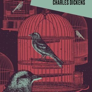 A casa soturna- Charles Dickens - Capa dura