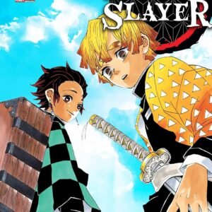 Demon slayer (Kimetsu No Yaiba) Vol. 3 - Capa comum