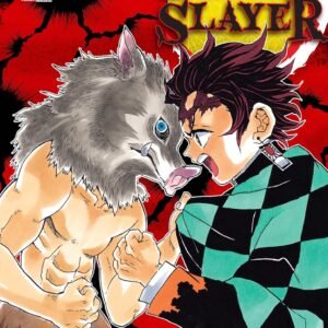 Demon slayer (Kimetsu No Yaiba) Vol. 4 - Capa comum
