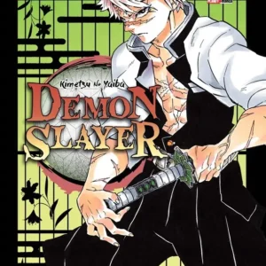 Demon slayer (Kimetsu No Yaiba) Vol. 17 - Capa comum