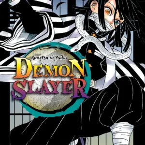Demon slayer (Kimetsu No Yaiba) Vol. 19 - Capa comum