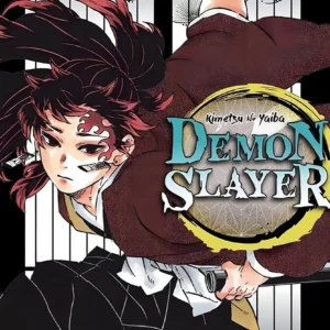 Demon slayer (Kimetsu No Yaiba) Vol. 20 - Capa comum